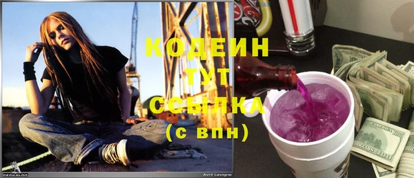 гашик Осинники