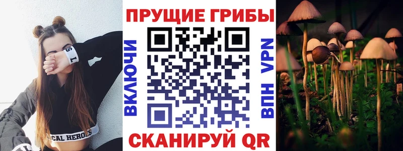 купить наркоту  MEGA ONION  Псилоцибиновые грибы Psilocybe  Балабаново 